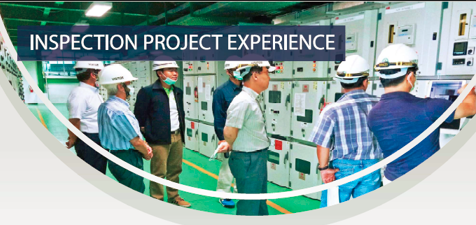 Inspection Project Experience