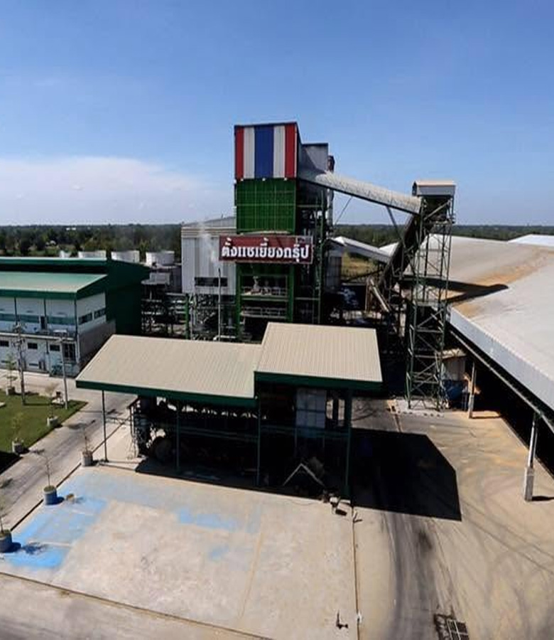 Biomass Power Plant